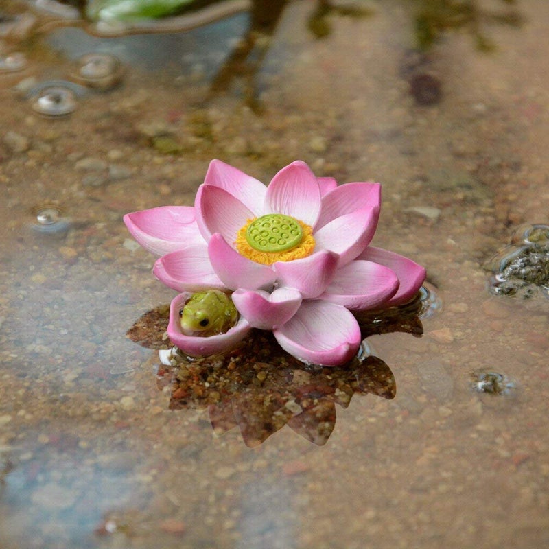Top Collection Miniature Fairy Garden and Terrarium Cute Mini Frog Sleeping on Lotus Flower Figurine - Image 3